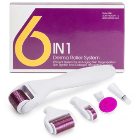 Derma roller na mikroihličkovanie 6 v 1 na tvár a telo