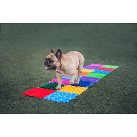 Senzorická masážna podložka pre psov Puzzle "Mix" 14 prvkov Fyzioterapie psů